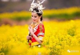 赏花短视频拍摄教程，轻松掌握拍摄方法