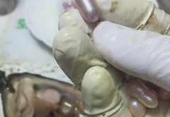 私人直播带货技巧,如何开私人直播间