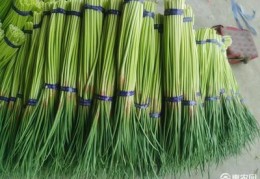 新鲜蒜苔直播销售技巧,新鲜蒜苔直播销售技巧和方法
