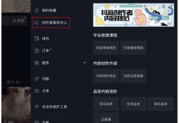 揭秘视频发布秘诀，如何轻松上热门并推广？