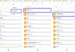 抖音设置上热门攻略，实用技巧助你轻松走红！