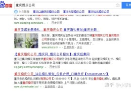 重庆seo是什么,重庆seo服务