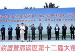 樱桃直播赚钱小技巧,樱桃直播会不会坑