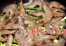 大虾直播抢购技巧,大虾直播抢购技巧是什么