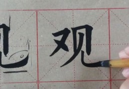 书法直播技巧视频教学,书法直播课怎么上