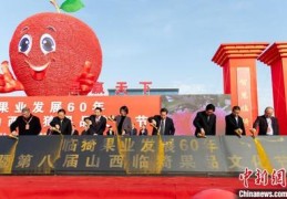 直播卖水果技巧,新手直播卖水果