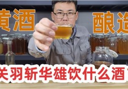 网络直播酿酒技巧,网络直播酿酒技巧视频
