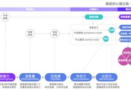 短视频带货拍摄秘籍，教学技巧与脚本创作指南