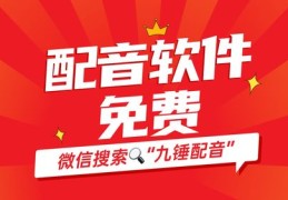 揭秘热门解说文案的创作秘诀