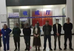 纸牌斗牛技巧直播,纸牌斗牛技巧心得体会