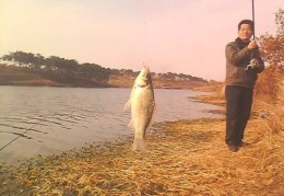 浮漂讲解技巧直播,浮漂怎么钓