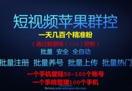 抖音上热门秘籍，不限流攻略与实用技巧分享