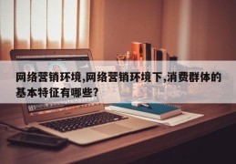网络营销环境,网络营销环境下,消费群体的基本特征有哪些?