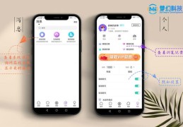 商家快手直播同城推广技巧解析，实战策略与经验分享