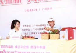 荔枝直播PK技巧与珠江电视台直播荔枝网揭秘