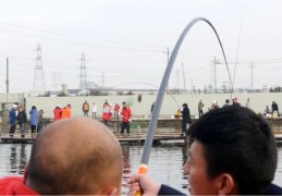 大师钓鱼技巧直播,大师钓鱼技巧直播视频