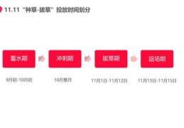 企业号直播技巧与方法,企业直播号如何注册