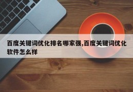 百度关键词优化排名哪家强,百度关键词优化软件怎么样