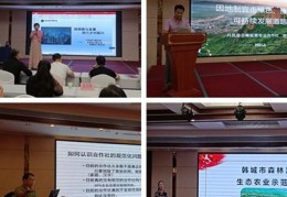 走乡村直播技巧,乡村直播系统怎么样