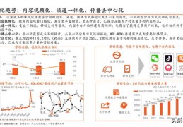 带货直播kol技巧,直播带货怎么讲