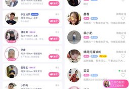 网络红娘直播，技巧探讨与合法性边缘