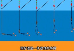 直播调漂技巧与直播间调试指南