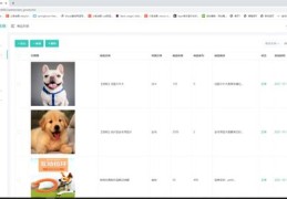 如何打造热门宠物店视频，宠物商店视频攻略