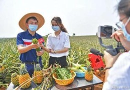 农贸市场直播技巧,农贸市场直播卖菜