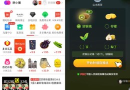 陌陌热门赚钱攻略，提升曝光与收益的技巧