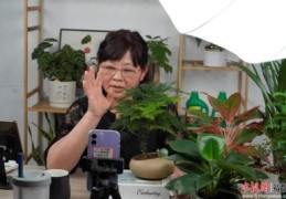 花卉绿植直播技巧,绿植直播如何提高成交率