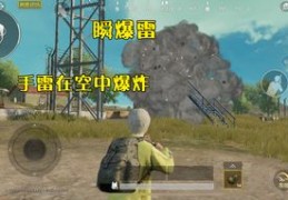 刺激战场热门图片攻略，轻松上榜，成为焦点！