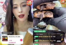 直播间镜头反转技巧,直播间镜头反转技巧视频
