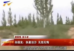 宁夏卫视直播技巧,直播宁夏卫视在线直播
