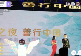 东南卫视直播秘籍，掌握直播技巧与节目呈现之道