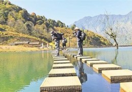 景区直播拍摄技巧,景区实景直播