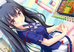 直播间抢购本子秘籍，抢购脚本与技巧全解析