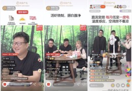 直播选货指南，技巧与优势解析