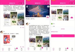 禅城商城直播卖货技巧揭秘，实战方法与策略