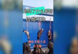 搞笑配音秘籍，轻松登上热门配音秘籍！