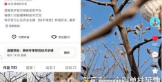 快手作品如何成功上热门？技巧大揭秘！