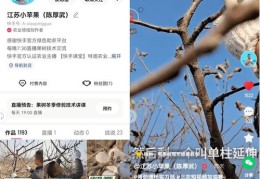快手作品如何成功上热门？技巧大揭秘！