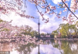 墨迹实景与热图如何成为热门之选？揭秘其背后的秘诀