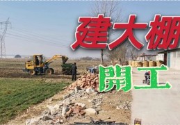 农民如何利用热门赚钱的方法和策略