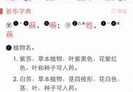 如何提升普通话水平以顺利登上热门话题榜单？