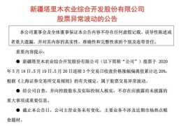 如何提升公司销量，实现热门销售业务飙升的策略