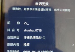 揭秘视频热门秘诀，如何发布高质量内容吸引粉丝增长