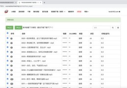 音频直播技巧详解，视频教学与优化策略