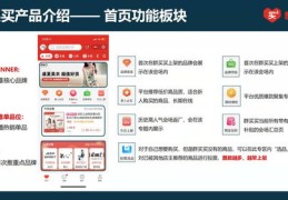 拼多多如何打造热门品牌之路