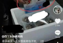 直播卖韭菜技巧,直播韭菜的种植技术