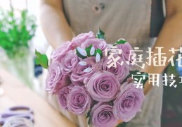 种花小技巧直播，种花方法与技巧的视频分享